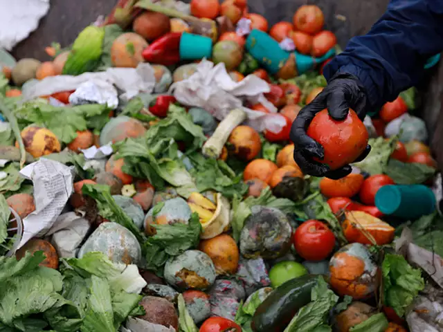 Limbah Makanan juga berasal dari Industri, baik itu Industri jasa makanan maupun pariwisata